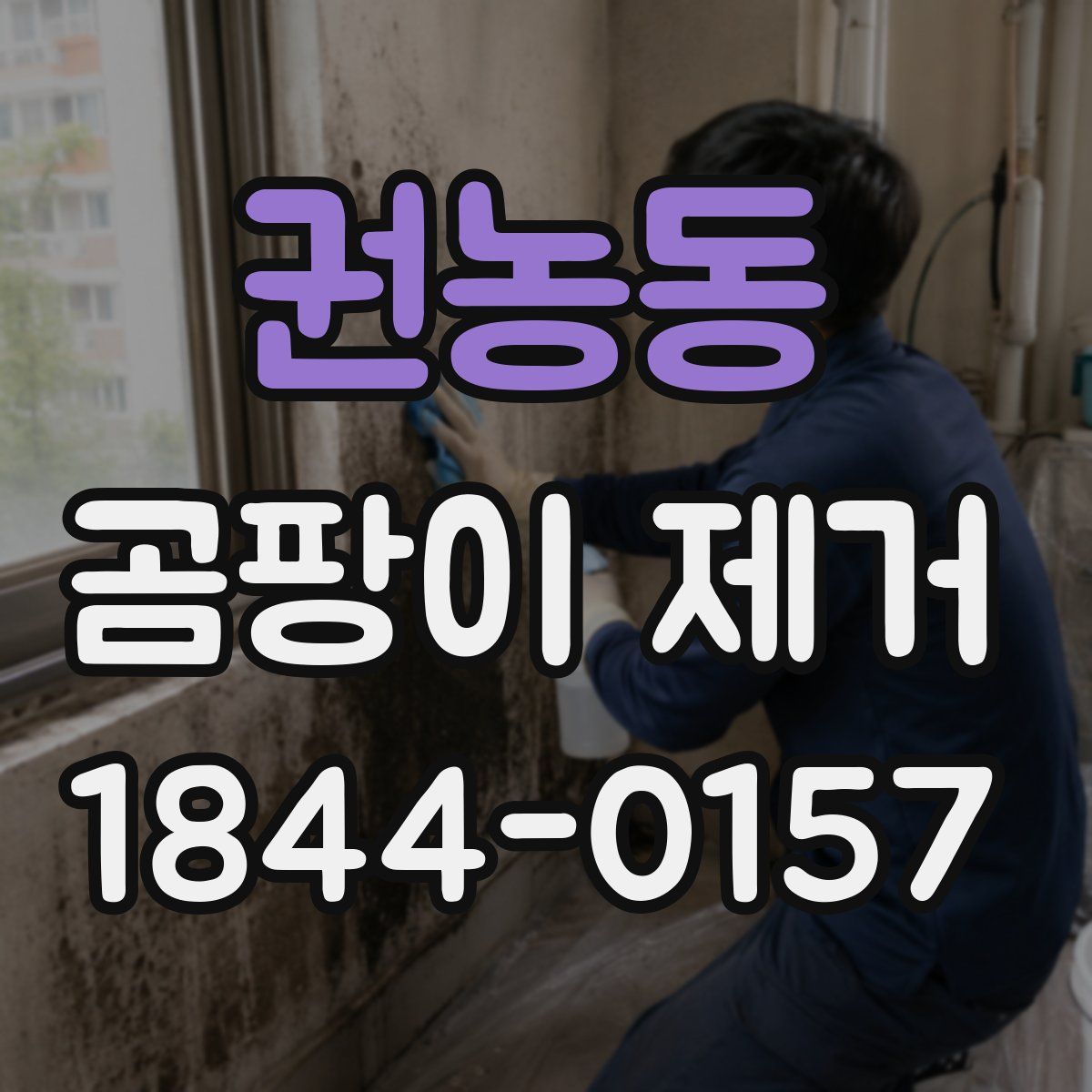 권농동 곰팡이 제거