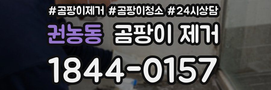 권농동 곰팡이 제거