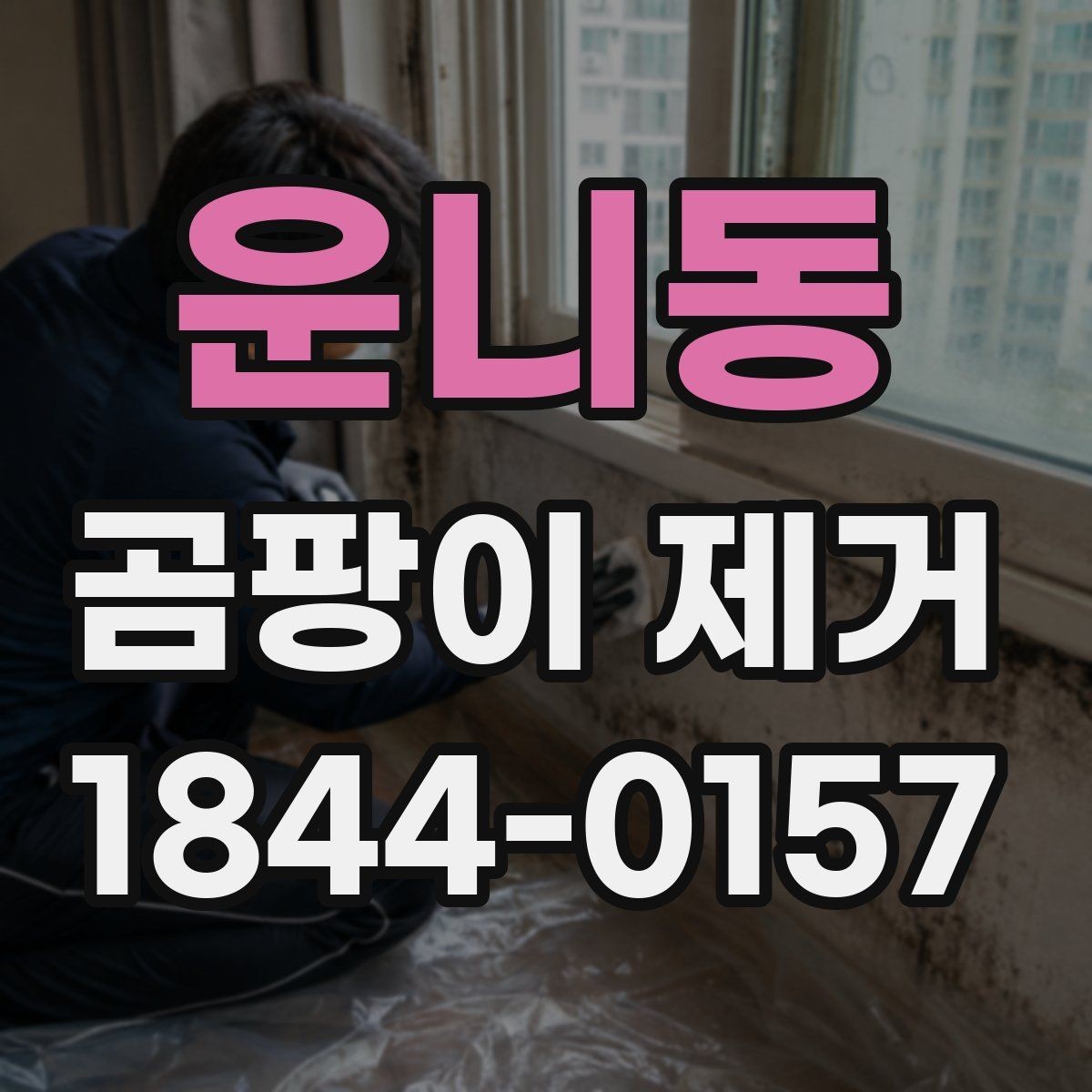 운니동 곰팡이 제거 결로가 심한 계절에 먼저 볼 항목