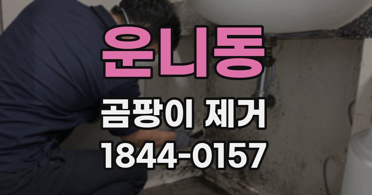 운니동 곰팡이 제거