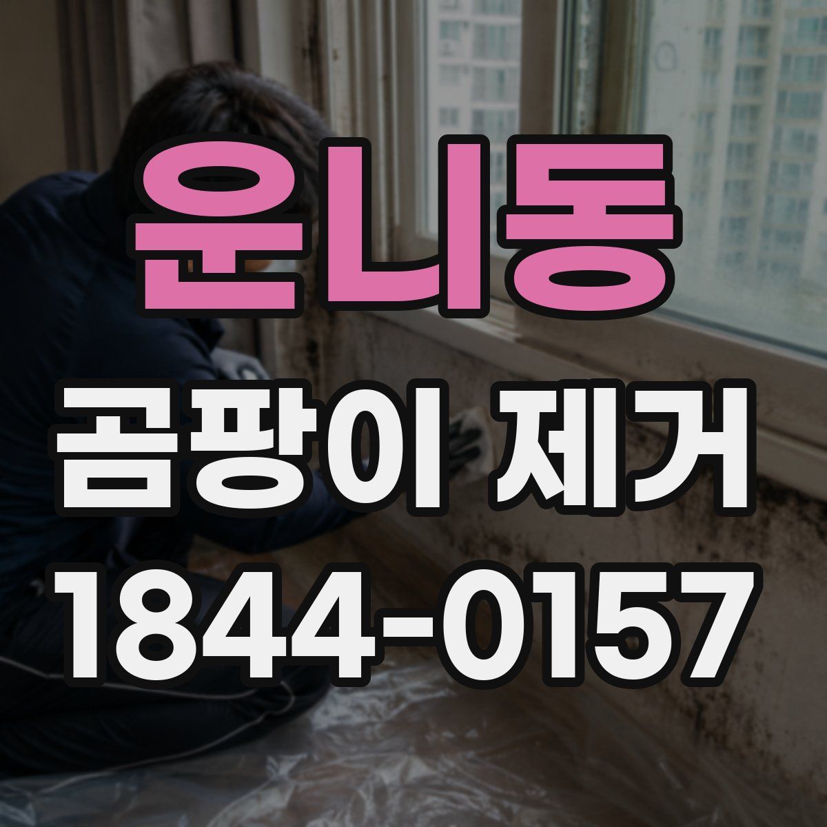 운니동 곰팡이 제거