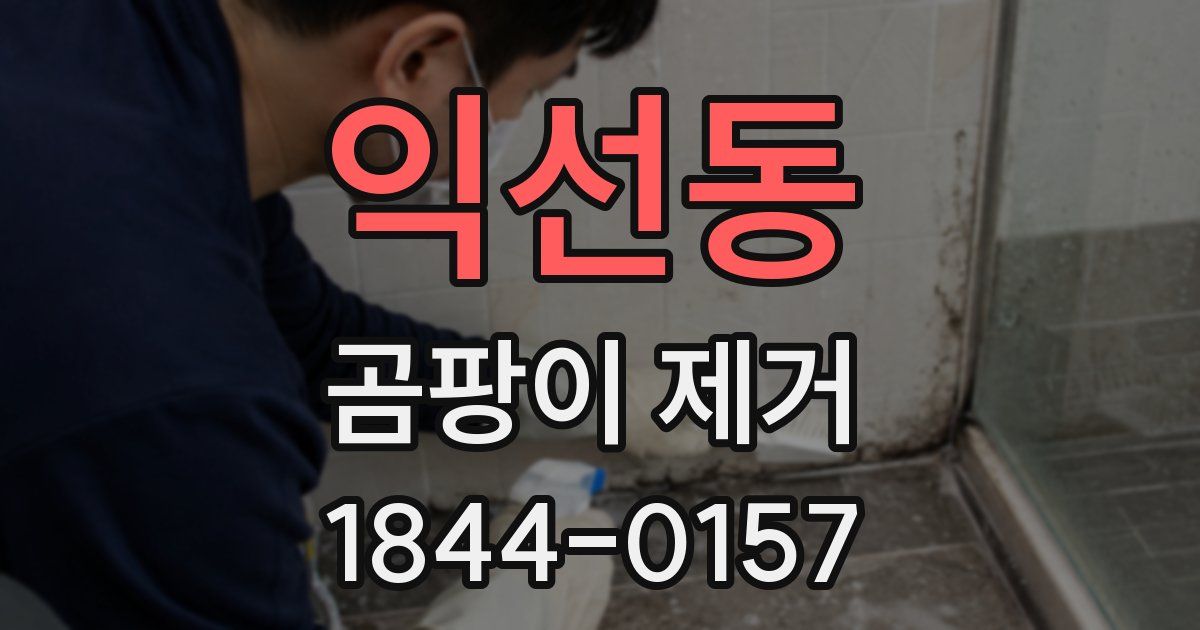 익선동 곰팡이 제거