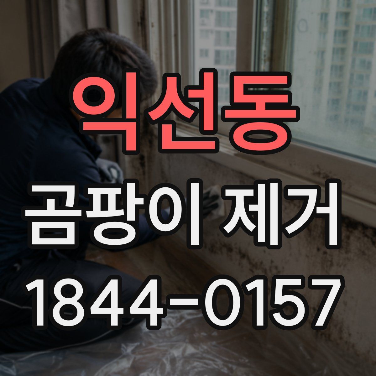 익선동 곰팡이 제거