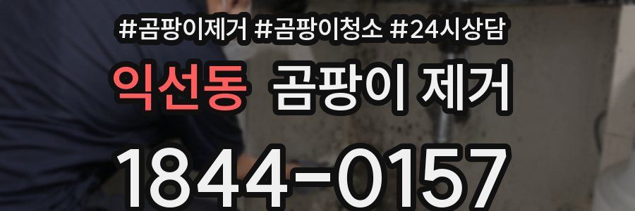 익선동 곰팡이 제거
