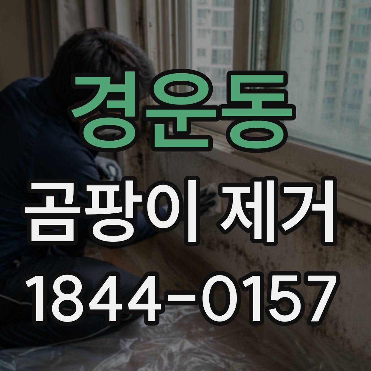 경운동 곰팡이 제거