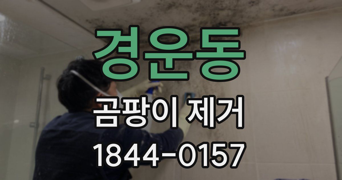 경운동 곰팡이 제거