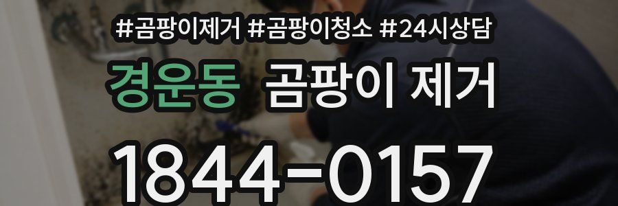 경운동 곰팡이 제거