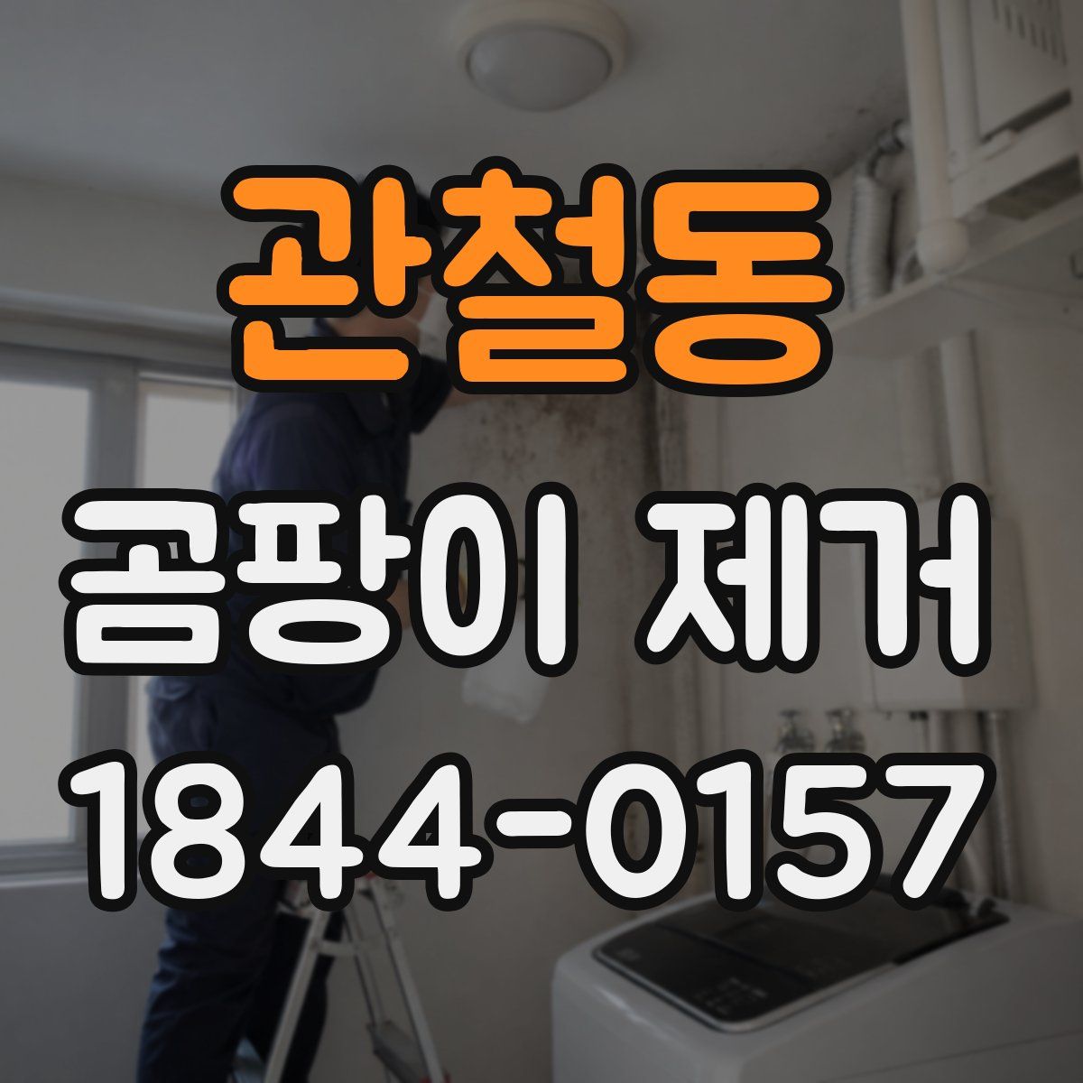 관철동 곰팡이 제거