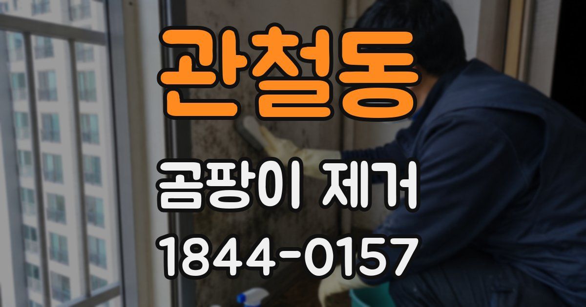 관철동 곰팡이 제거