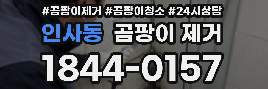 인사동 곰팡이 제거