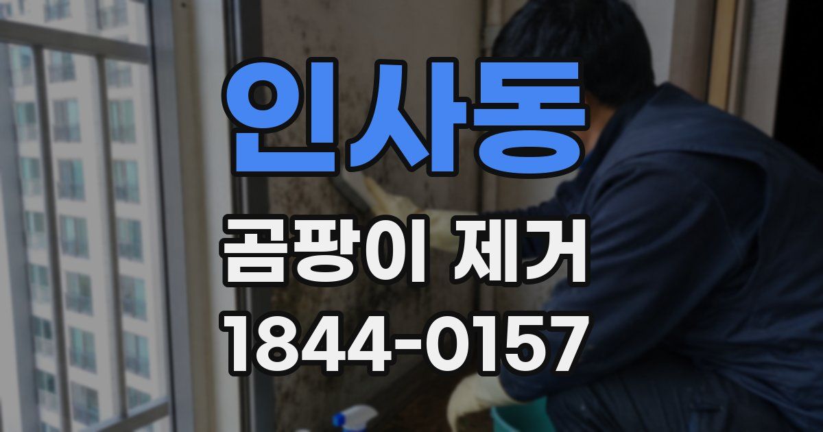 인사동 곰팡이 제거