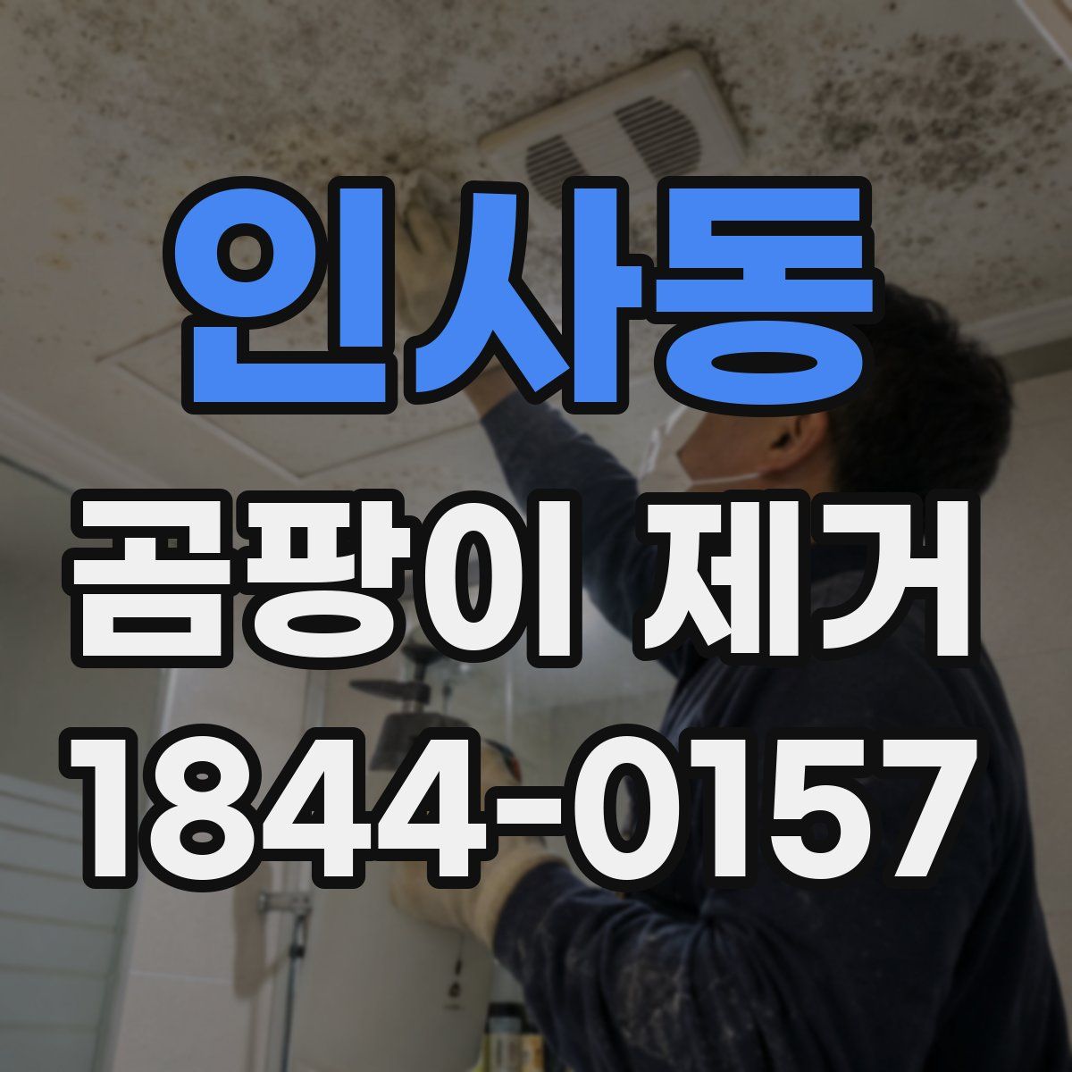 인사동 곰팡이 제거