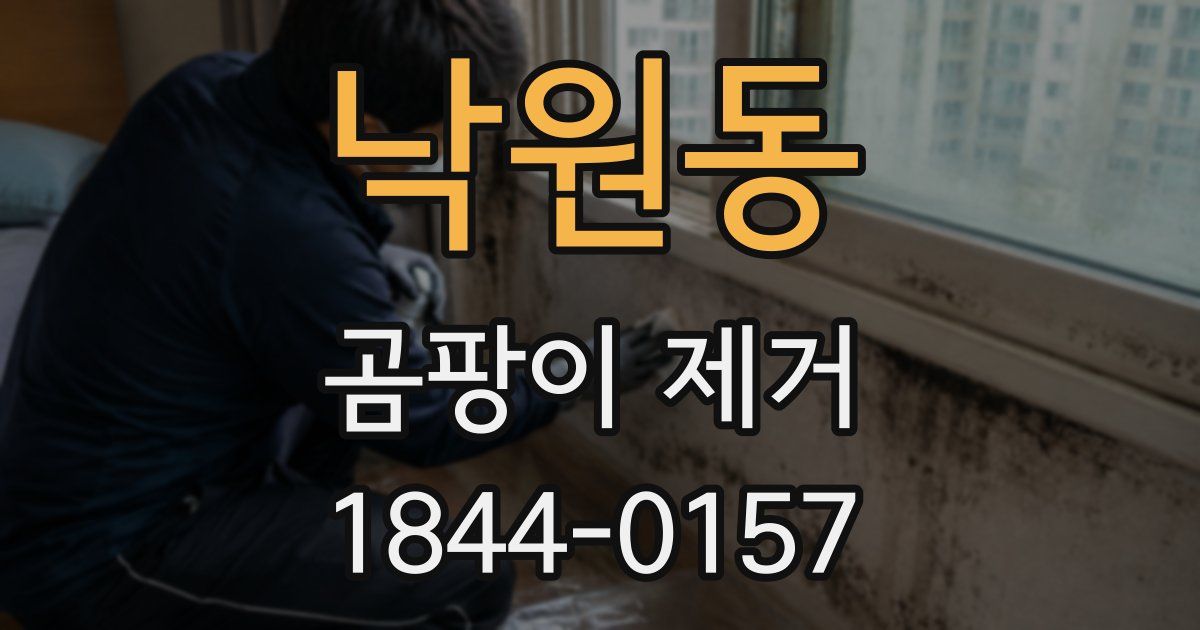 낙원동 곰팡이 제거