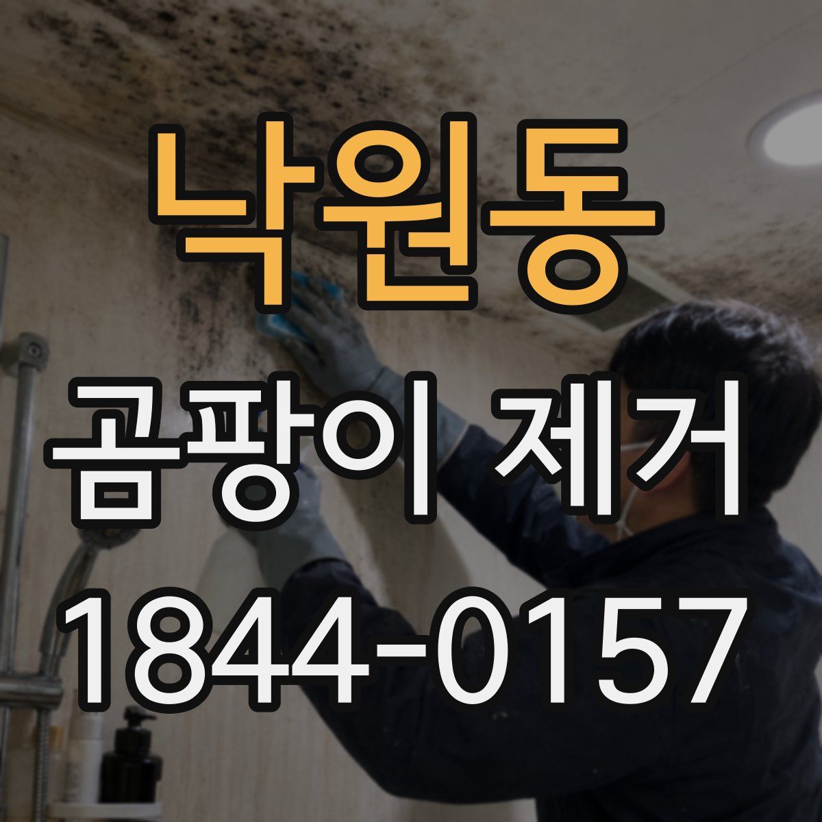 낙원동 곰팡이 제거