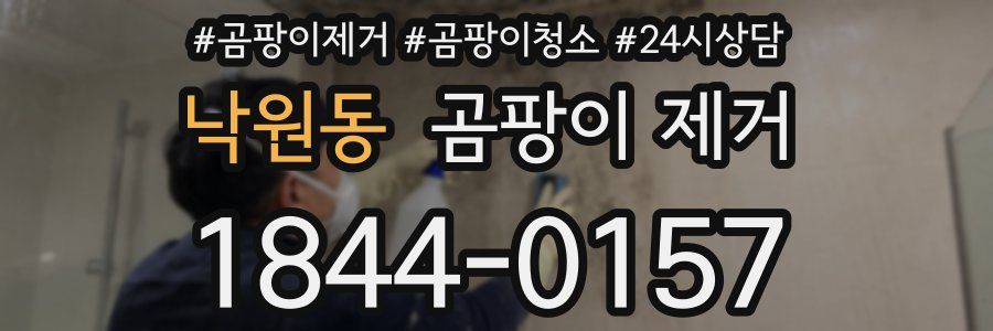 낙원동 곰팡이 제거