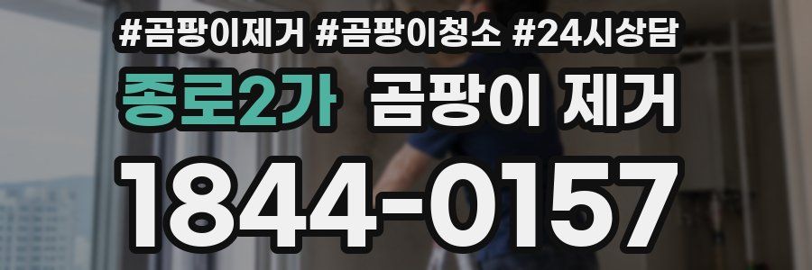 종로2가 곰팡이 제거