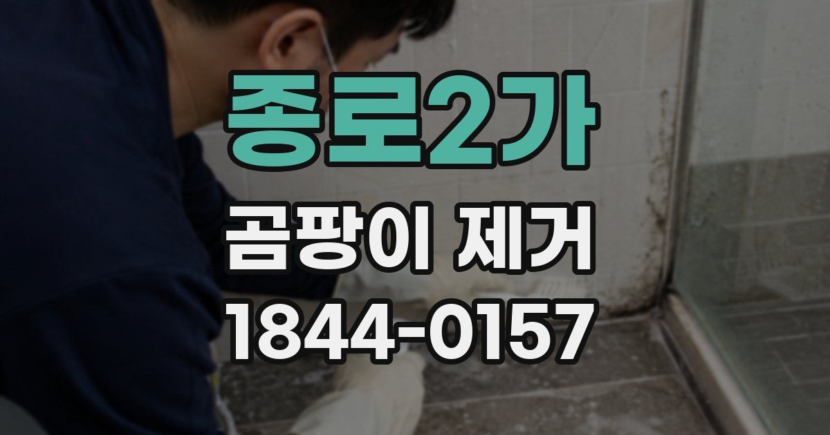 종로2가 곰팡이 제거
