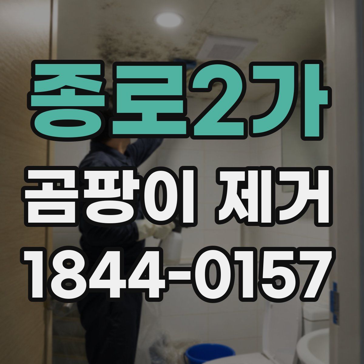 종로2가 곰팡이 제거