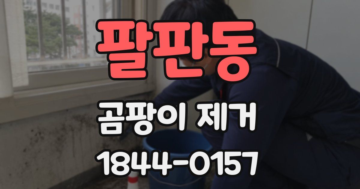 팔판동 곰팡이 제거
