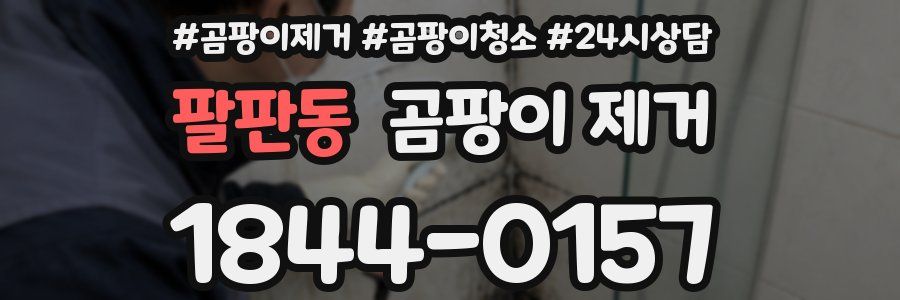 팔판동 곰팡이 제거