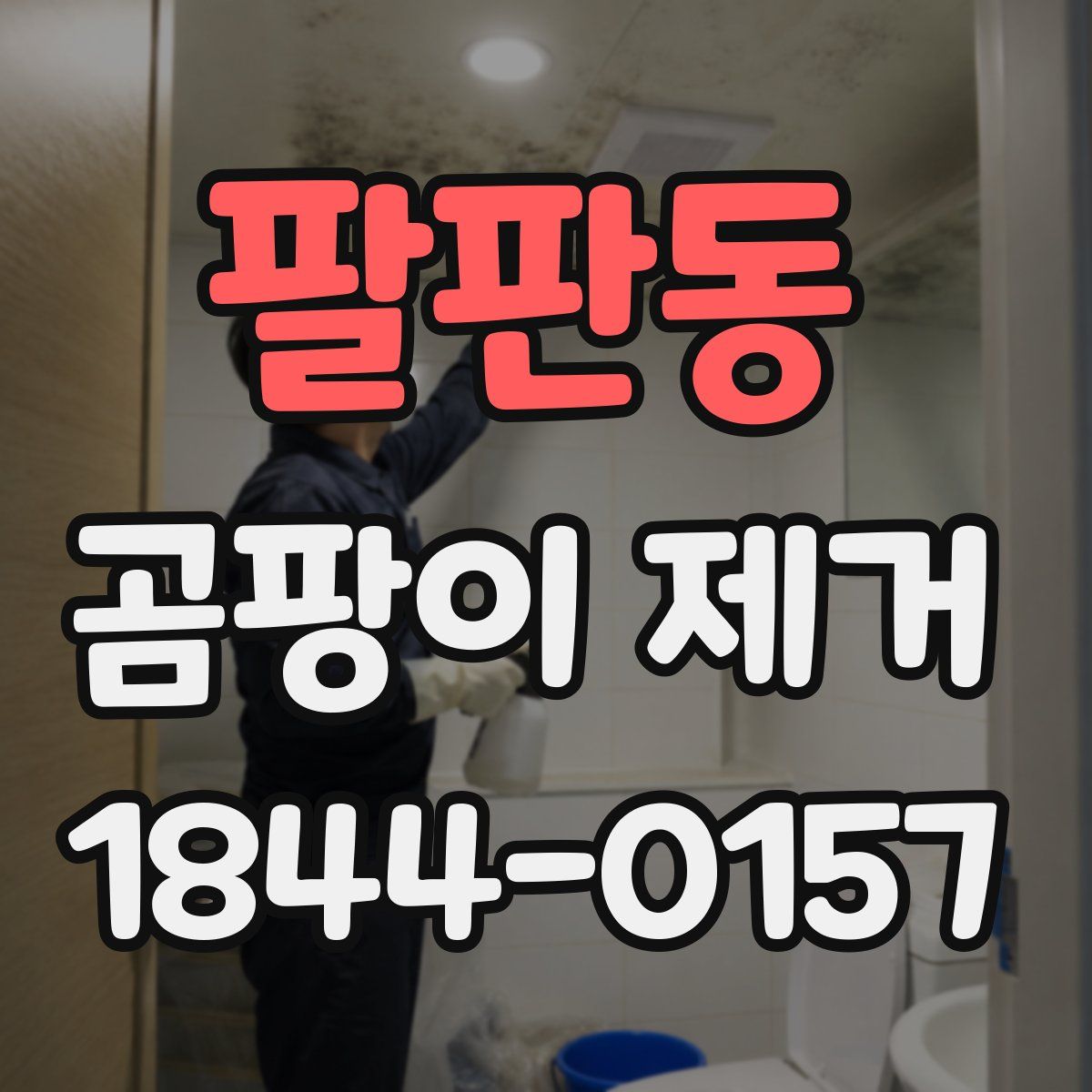 팔판동 곰팡이 제거
