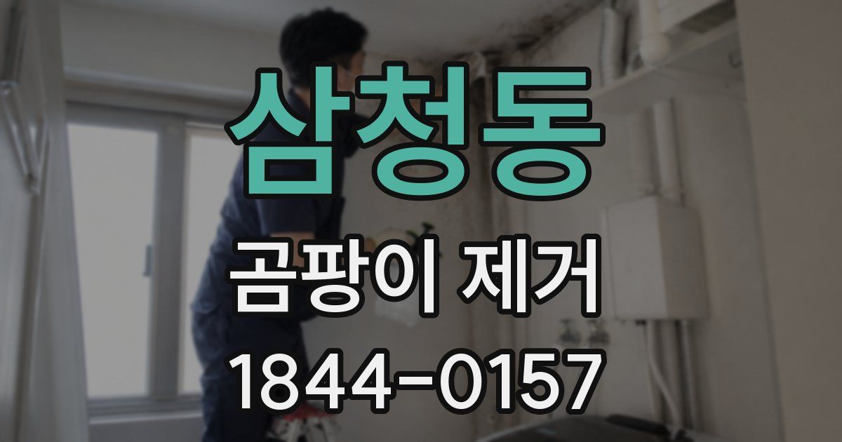 삼청동 곰팡이 제거