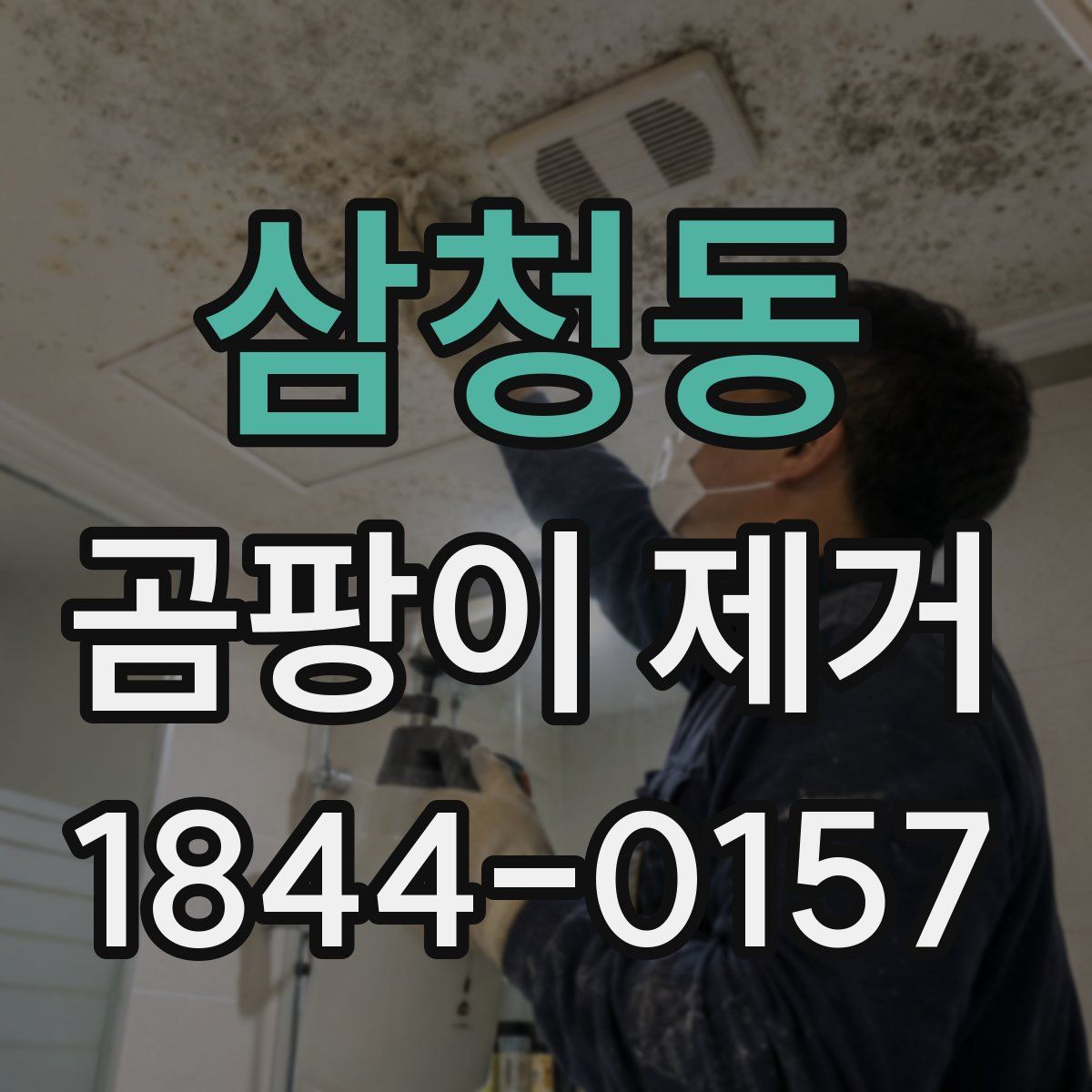 삼청동 곰팡이 제거