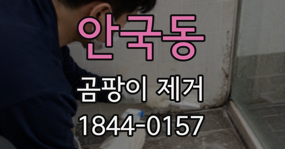 안국동 곰팡이 제거