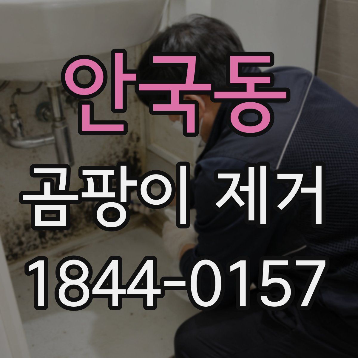 안국동 곰팡이 제거