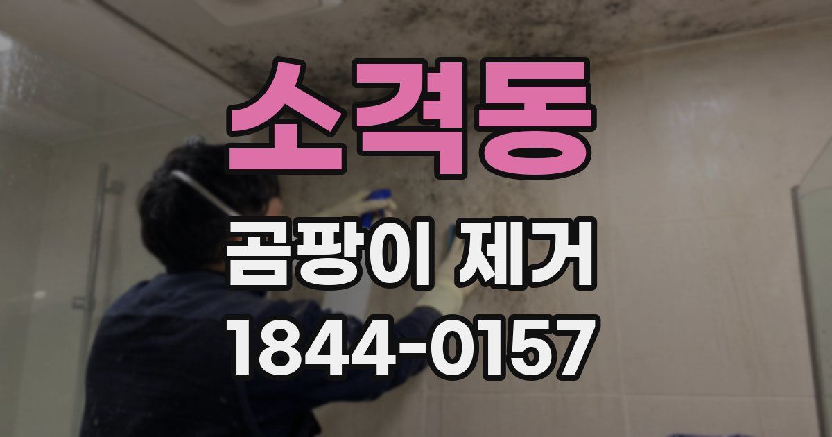 소격동 곰팡이 제거