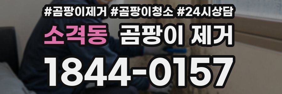 소격동 곰팡이 제거
