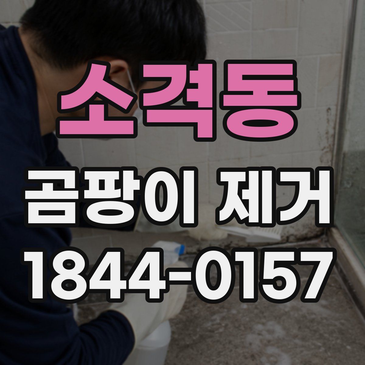 소격동 곰팡이 제거