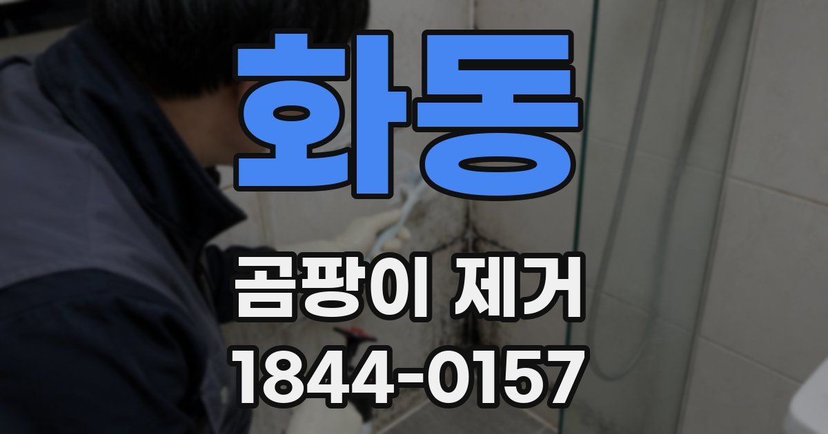 화동 곰팡이 제거