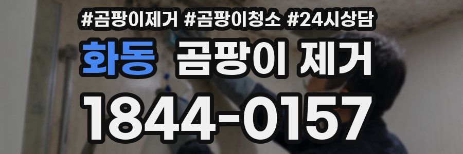 화동 곰팡이 제거