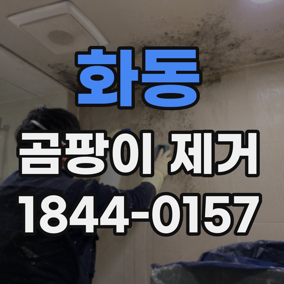 화동 곰팡이 제거