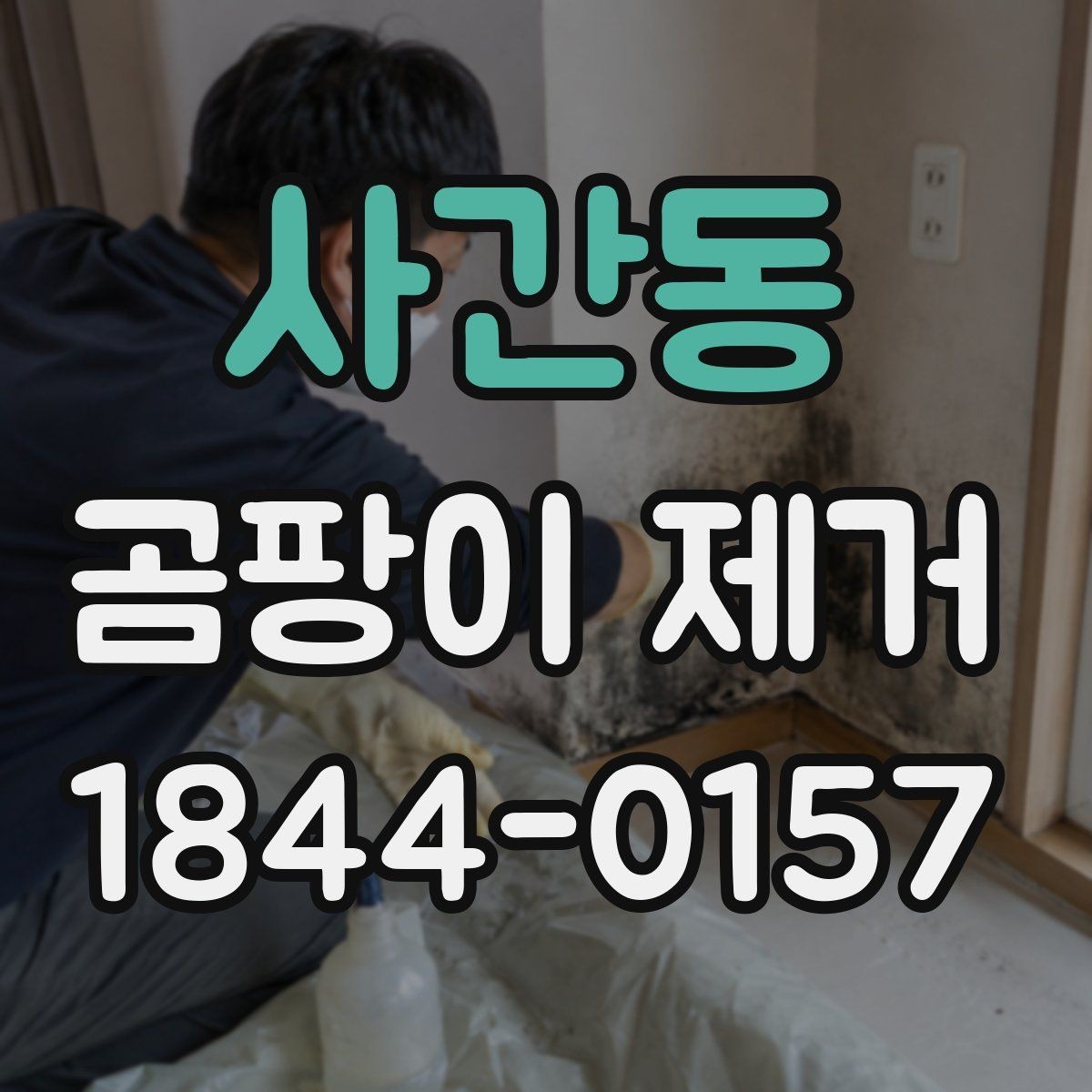 사간동 곰팡이 제거 전 사진으로 상태를 기록하는 이유