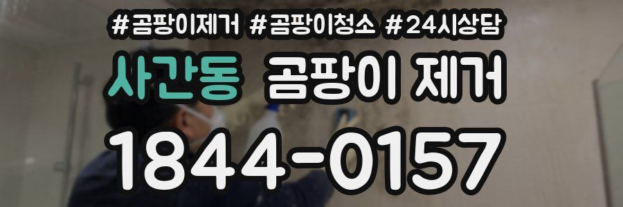 사간동 곰팡이 제거