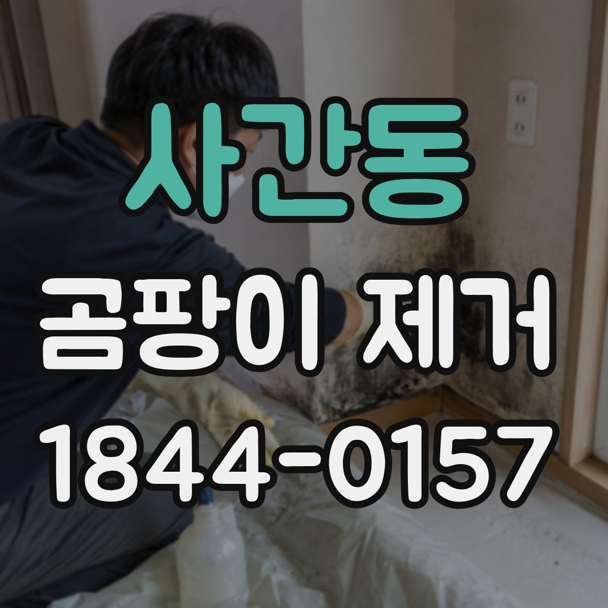 사간동 곰팡이 제거