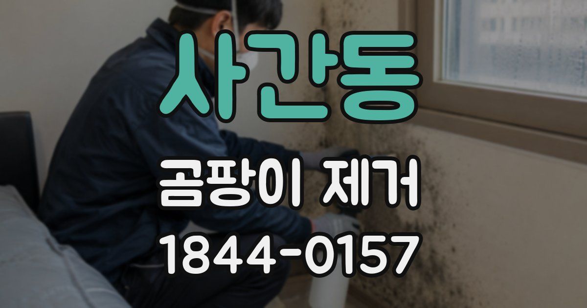 사간동 곰팡이 제거