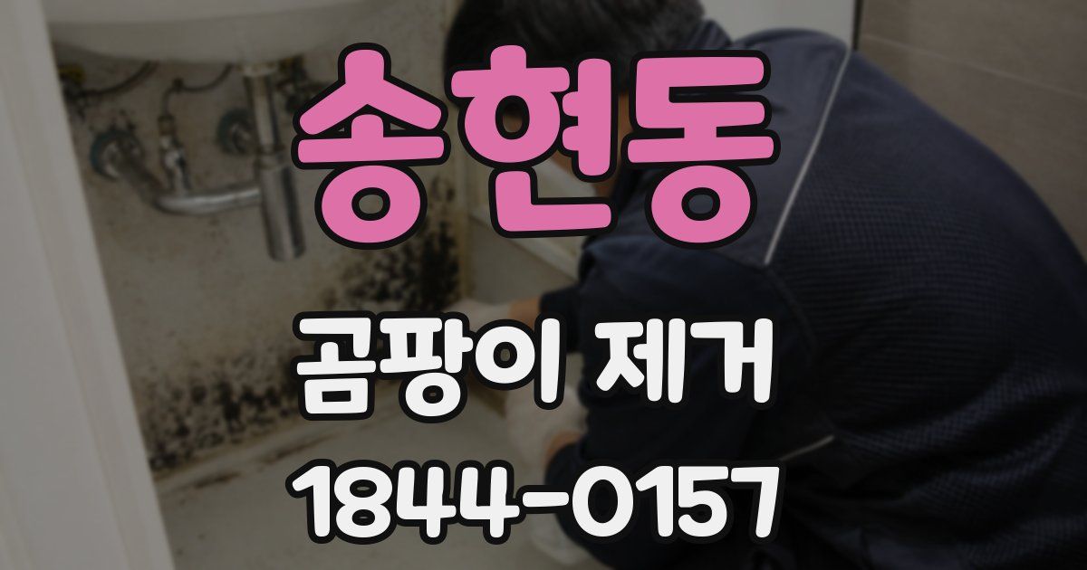 송현동 곰팡이 제거