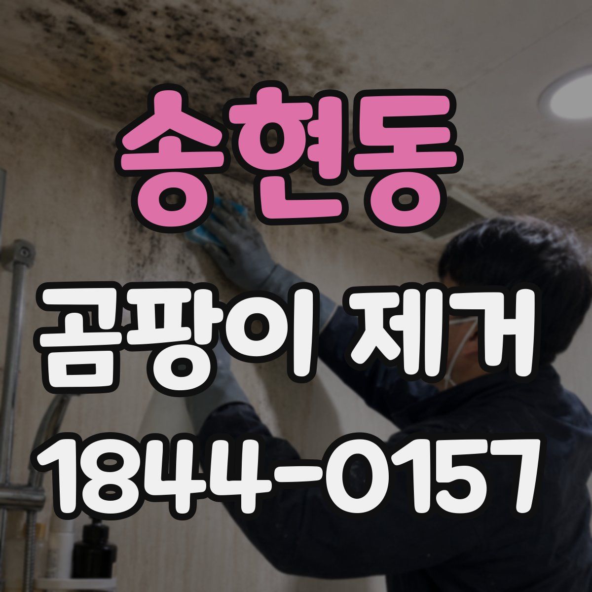 송현동 곰팡이 제거