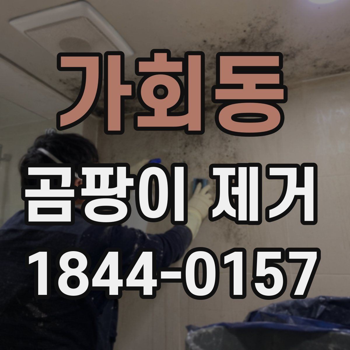 가회동 곰팡이 제거 환기 부족한 원룸의 숨은 문제 찾기