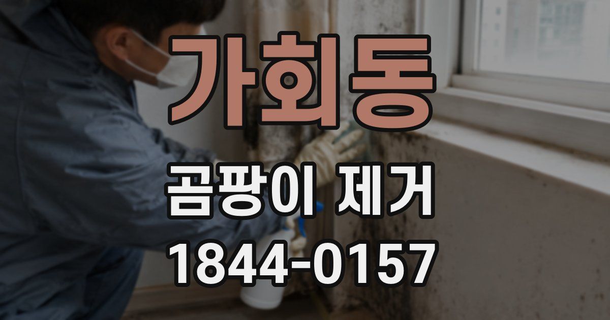가회동 곰팡이 제거