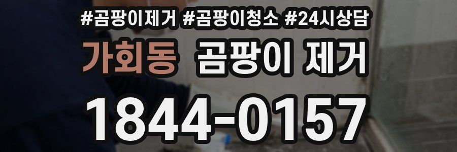 가회동 곰팡이 제거