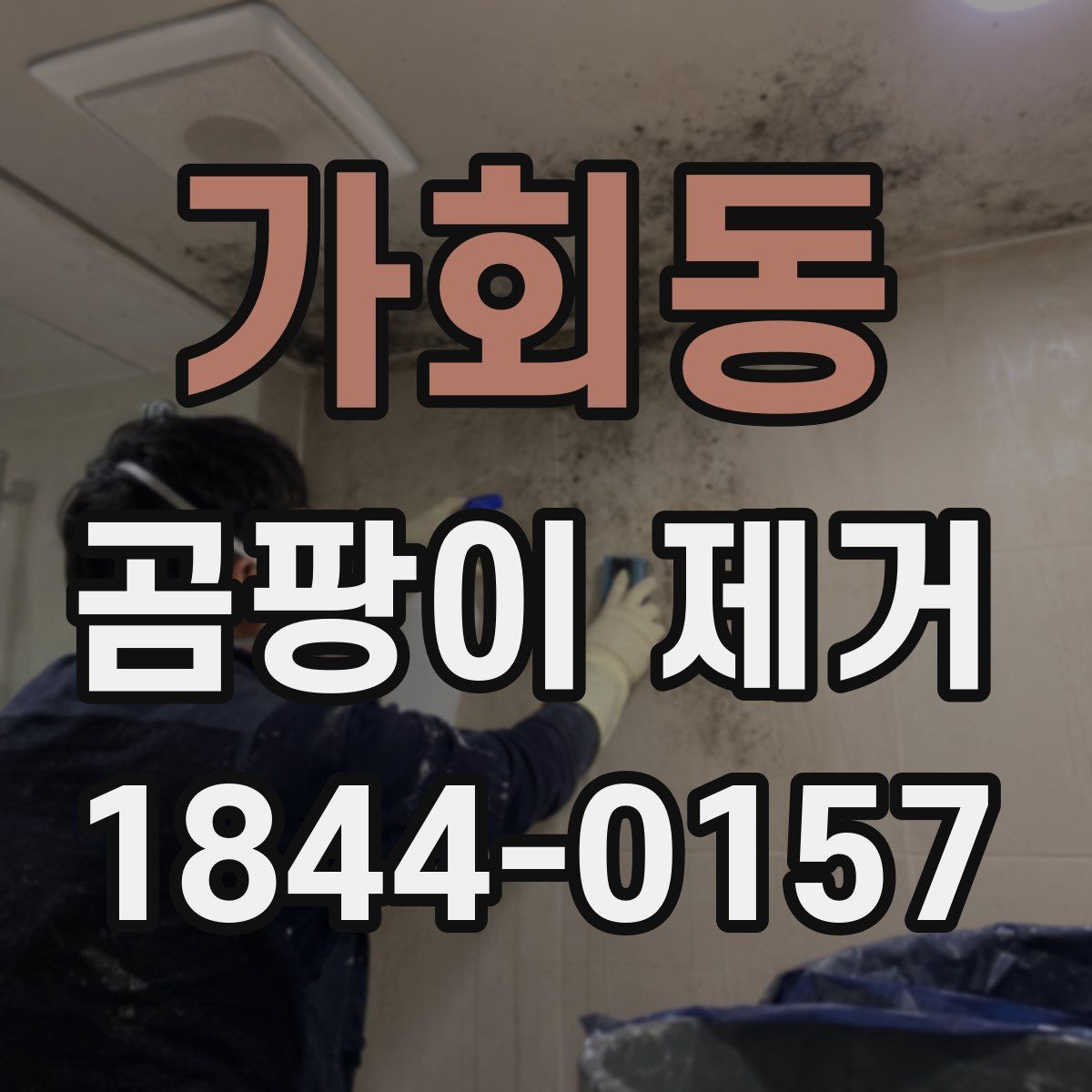 가회동 곰팡이 제거