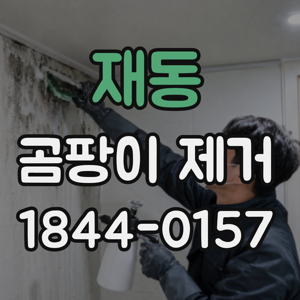 재동 곰팡이 제거