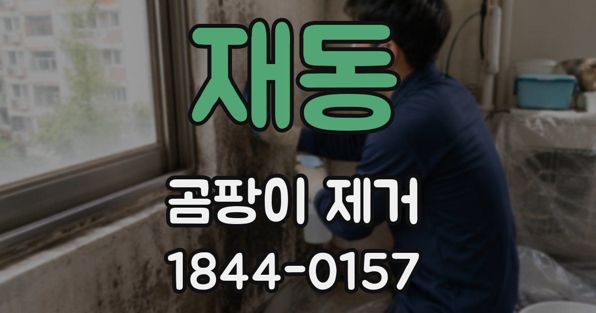 재동 곰팡이 제거
