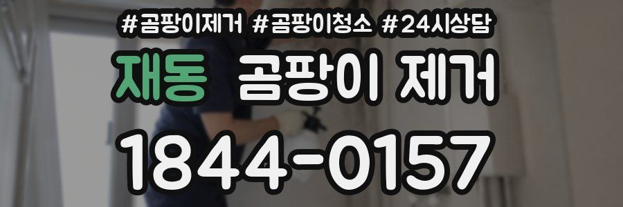 재동 곰팡이 제거