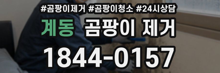 계동 곰팡이 제거
