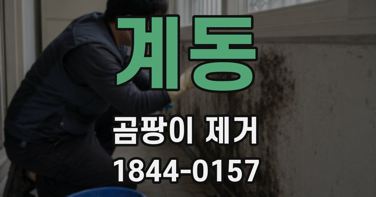 계동 곰팡이 제거